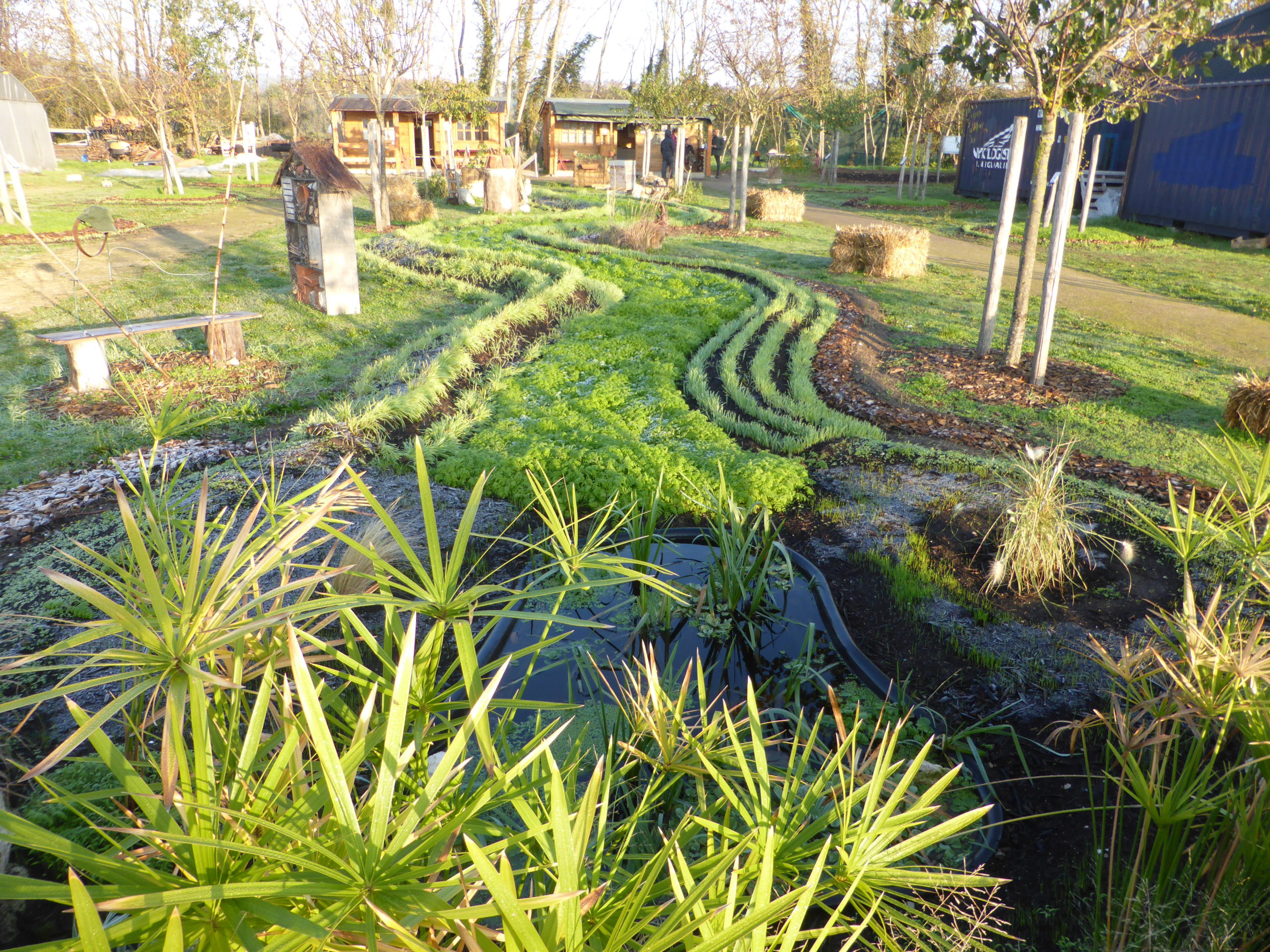 Une Autre Méthode Complémentaire Pour Enrichir Votre Terre Au Jardin